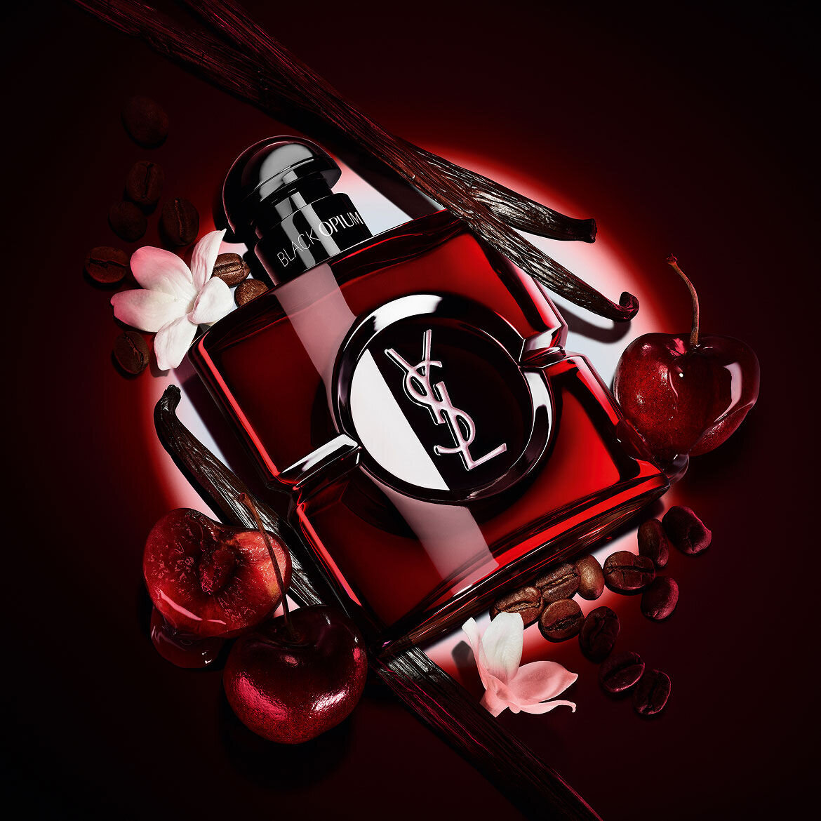 Black Opium Over Red Flakon in tiefrotem Lack, umgeben von frischen roten Kirschen und gerosteten Kaffeebohnen.