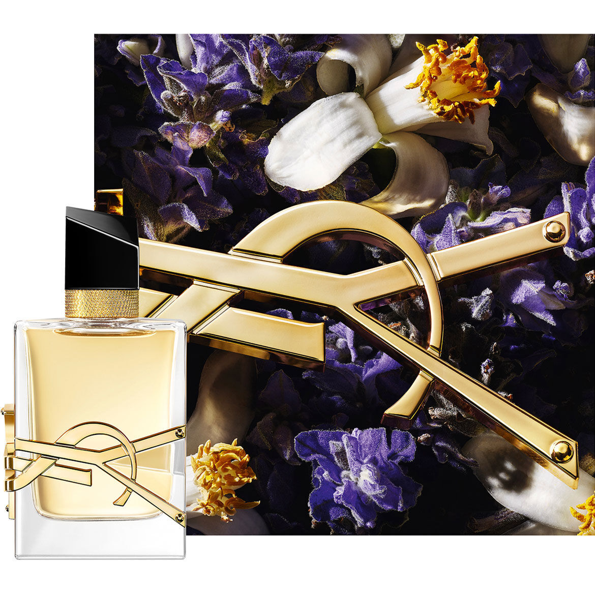 Libre Eau de Parfum Flakon mit goldener Kette und violetten Bluten vor dunklem Hintergrund.
