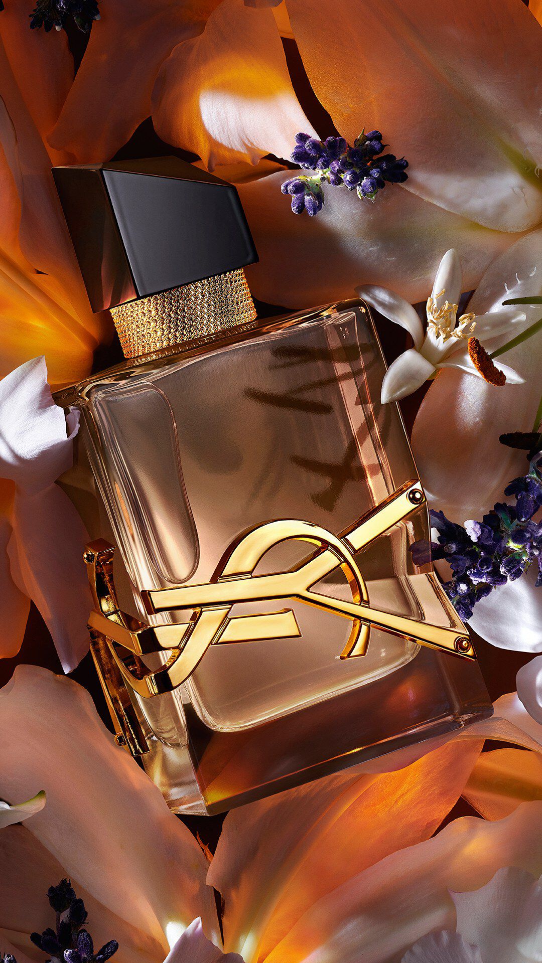 Libre Flowers and Flames is lying down with some Diva Lavender and white orange blossoms . 