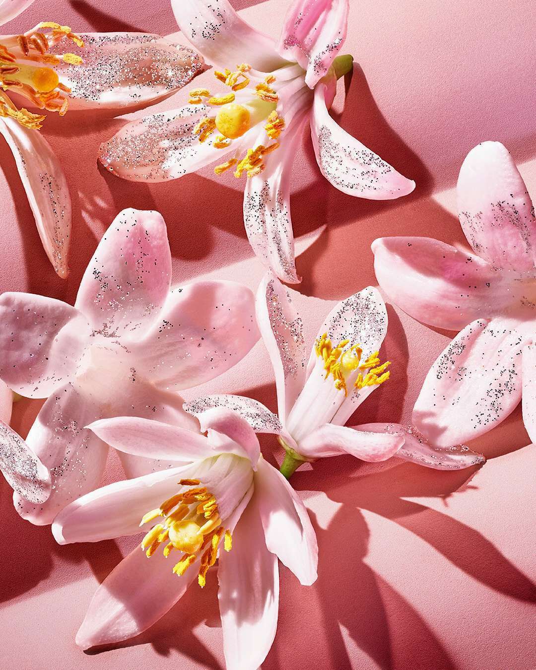 Delicate pink flowers with glitter accents arranged against a soft pink background.