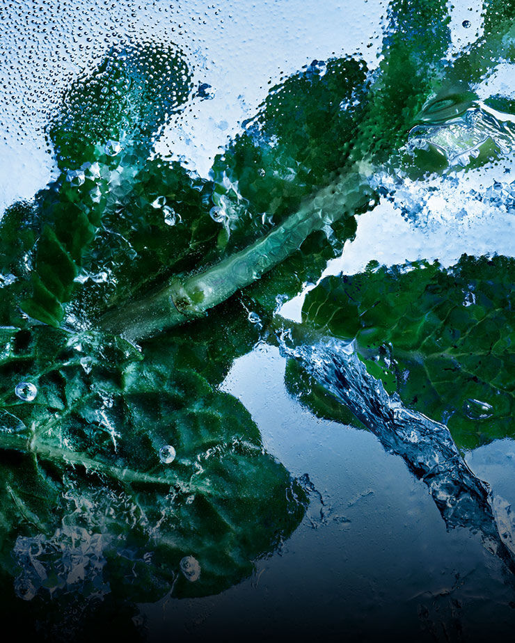 Frische Minzblätter, eingeschlossen in Eis und Wasser, symbolisieren die belebende Essenz von YSL Y Eau de Toilette Intense Iced Cologne.