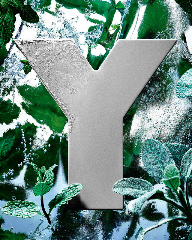 Das YSL 'Y'-Logo, mit Eis überzogen, umgeben von frischen Minz- und Salbeiblättern.