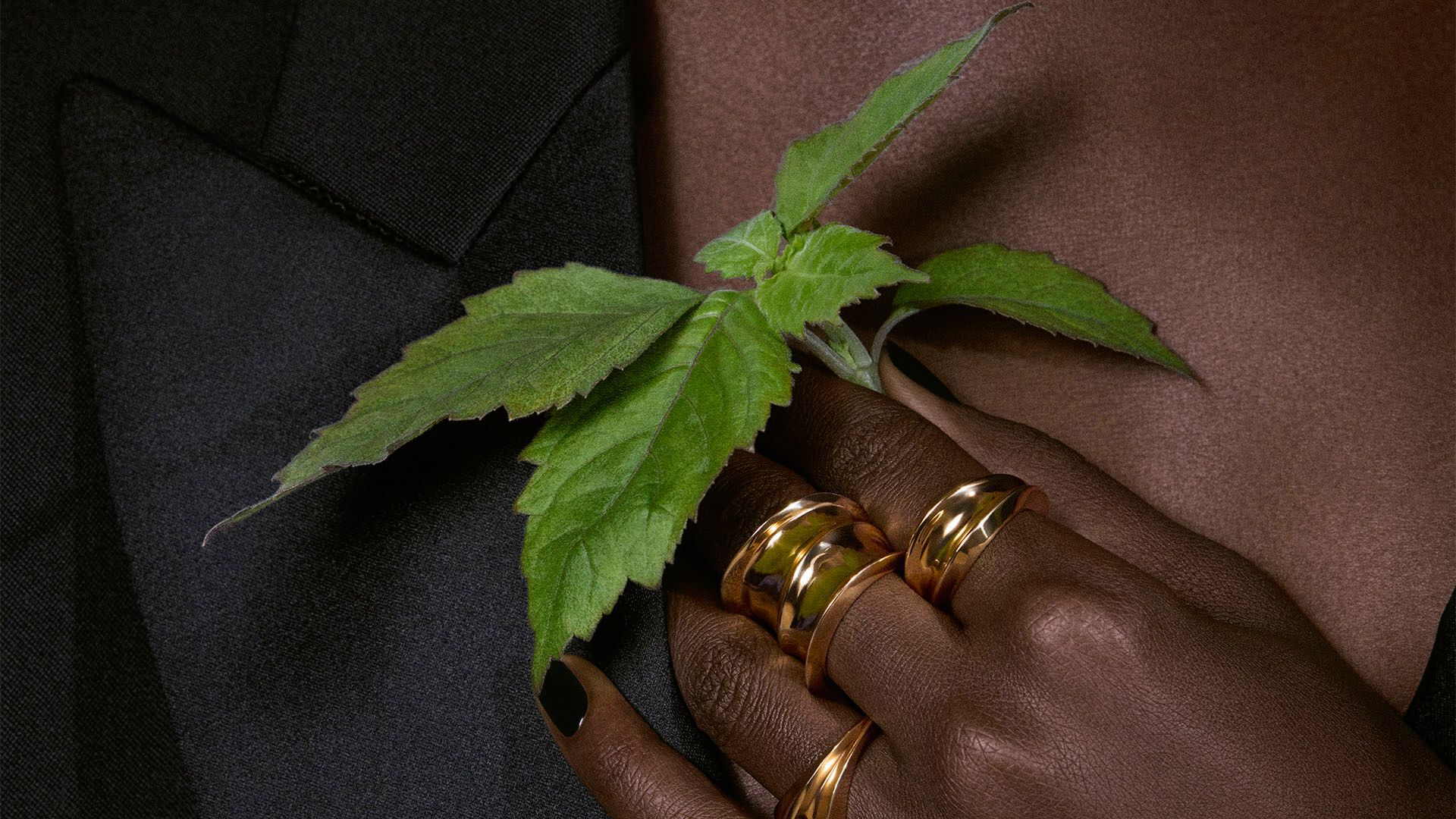 Eine Hand mit markanten Goldringen und dunklen Nägeln hält einen lebendig grünen Zweig, was die raffinierte Eleganz des Tuxedo-Duftes von YSL widerspiegelt.
