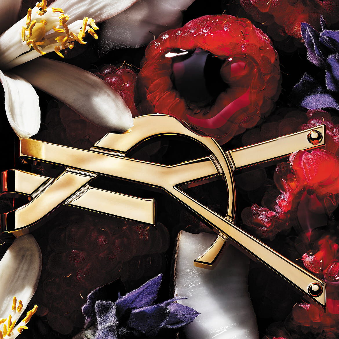 YSL-Logo umgeben von Himbeeren, weißen und violetten Blumen und Kokosnuss.